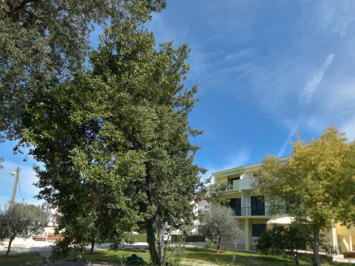 Apartments Davorka Zadar Croatia